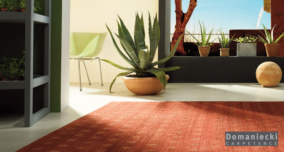 Domaniecki Teppiche Color Domaniecki Teppiche Color