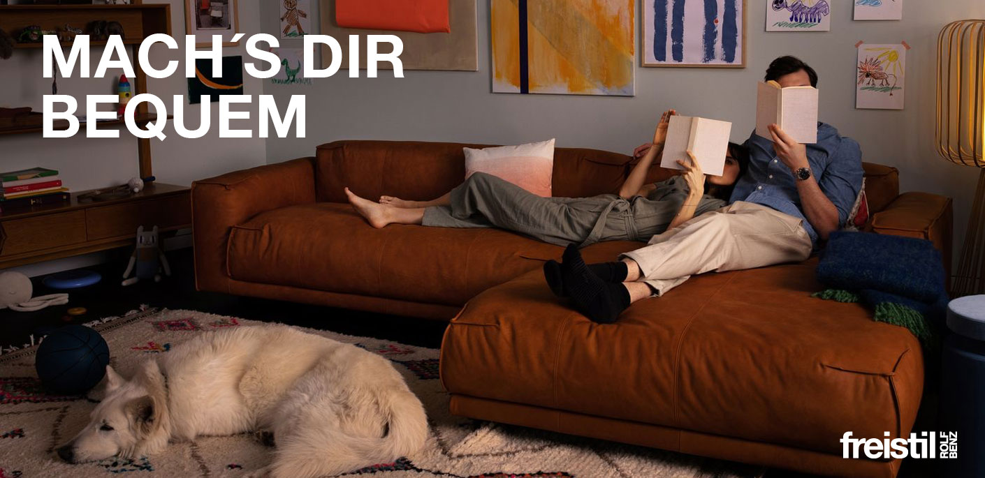 freistil Rolf Benz Sofa 136