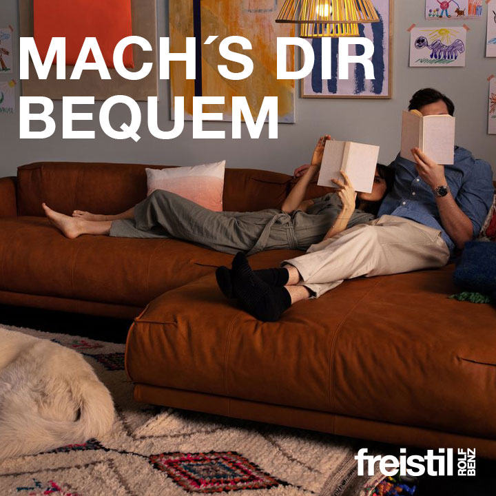 freistil Rolf Benz Sofa 136