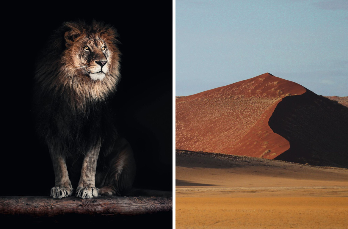 Inspiriert von den Landschaften und Farben Afrikas entstanden in Zusammenarbeit mit dem Textildesigner Helmut Scheufele die Teppiche von Walter Knoll.