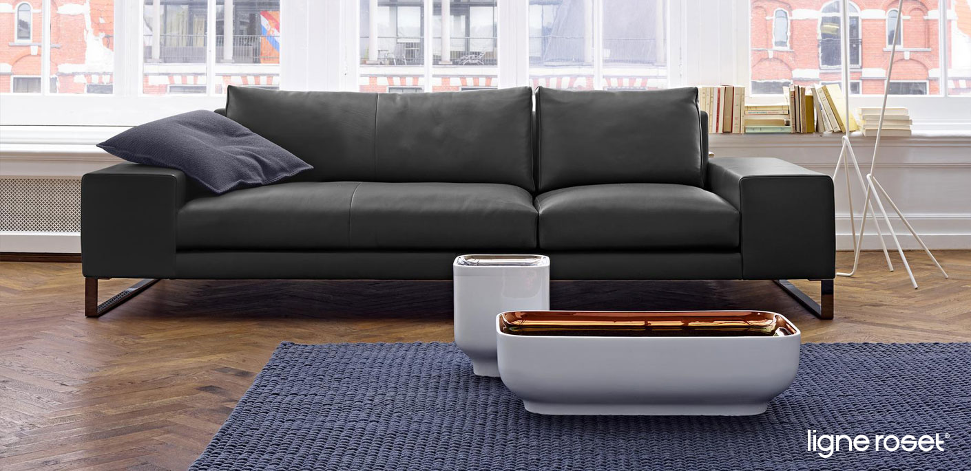Ligne Roset Exclusif 2 Sofa