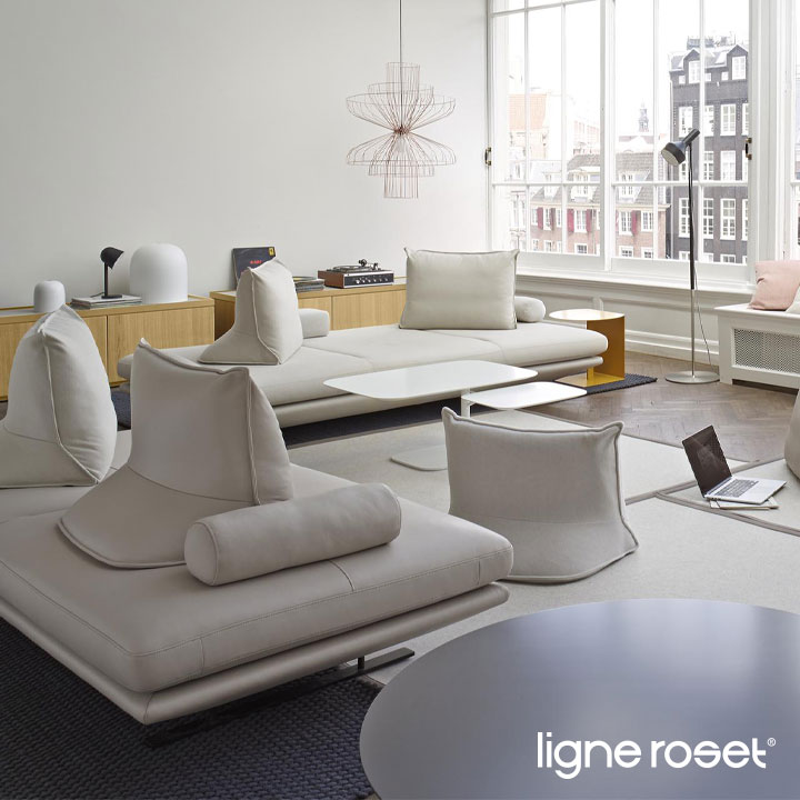 Ligne Roset PRADO Sofa