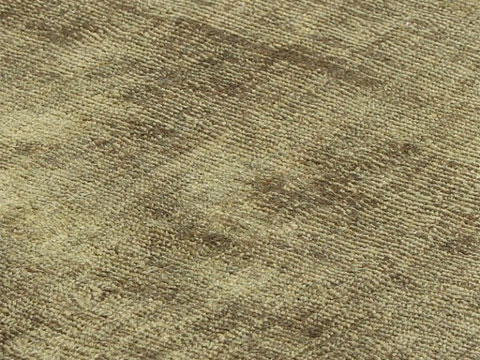 Evolution Cactus Green