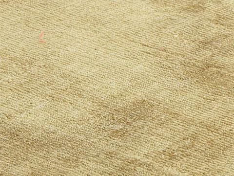 Evolution Amber Green