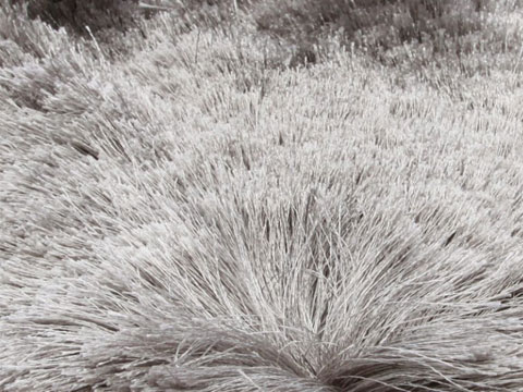 Homelike Neutral Gray