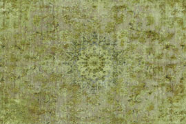 Green/Yellow 291 x 386
