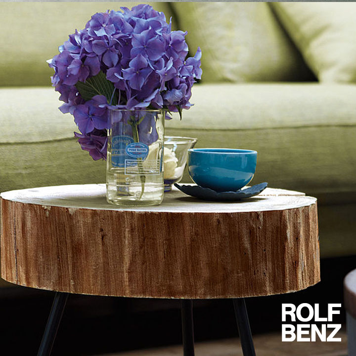 Rolf Benz Couchtisch 8480