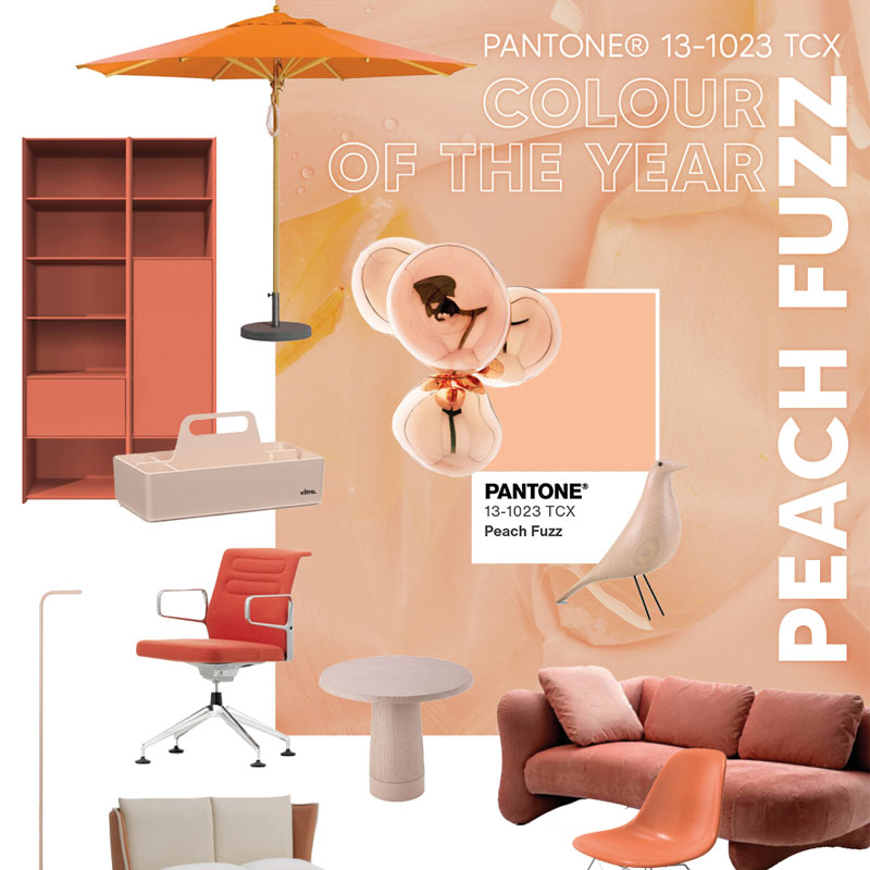 Peach Fuzz – die Farbe des Jahres 2024