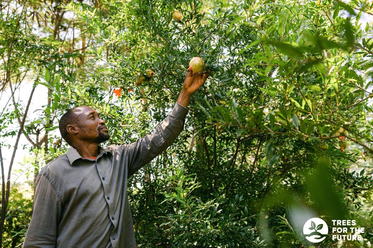 Projekt ReviewForest