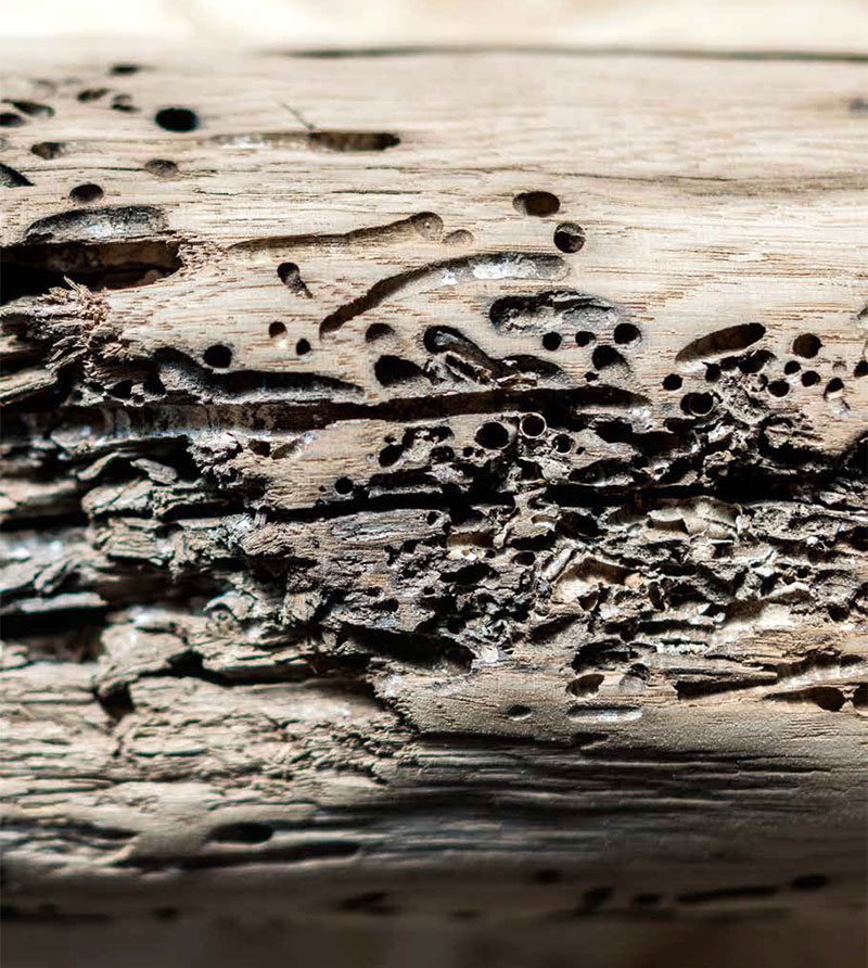 Holz für Wiederverwendung Holz für Wiederverwendung