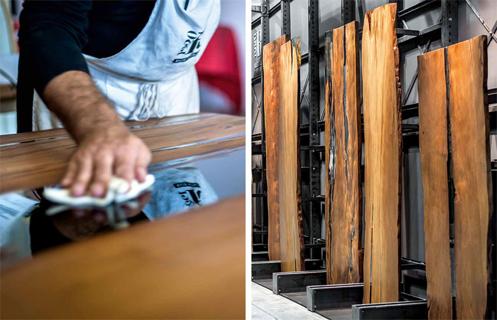 Kauri - Herr des Waldes