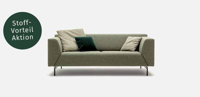Rolf Benz 310 Sofa