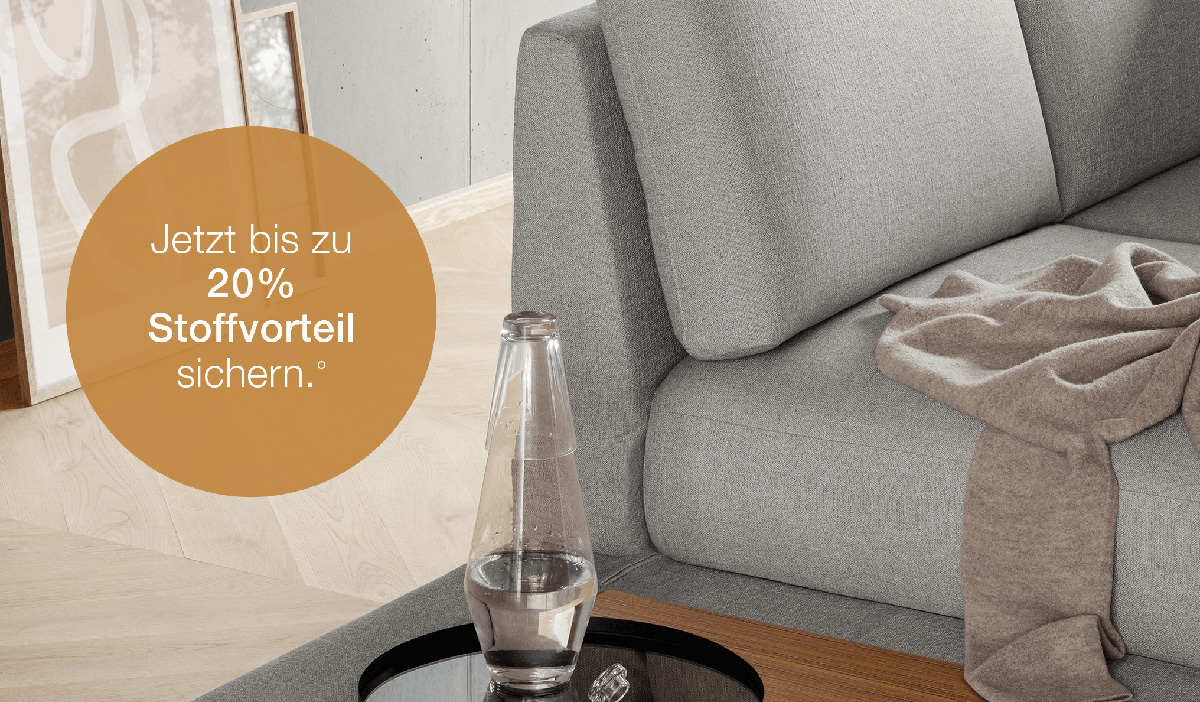 Rolf Benz Sofa Cara Aktion 