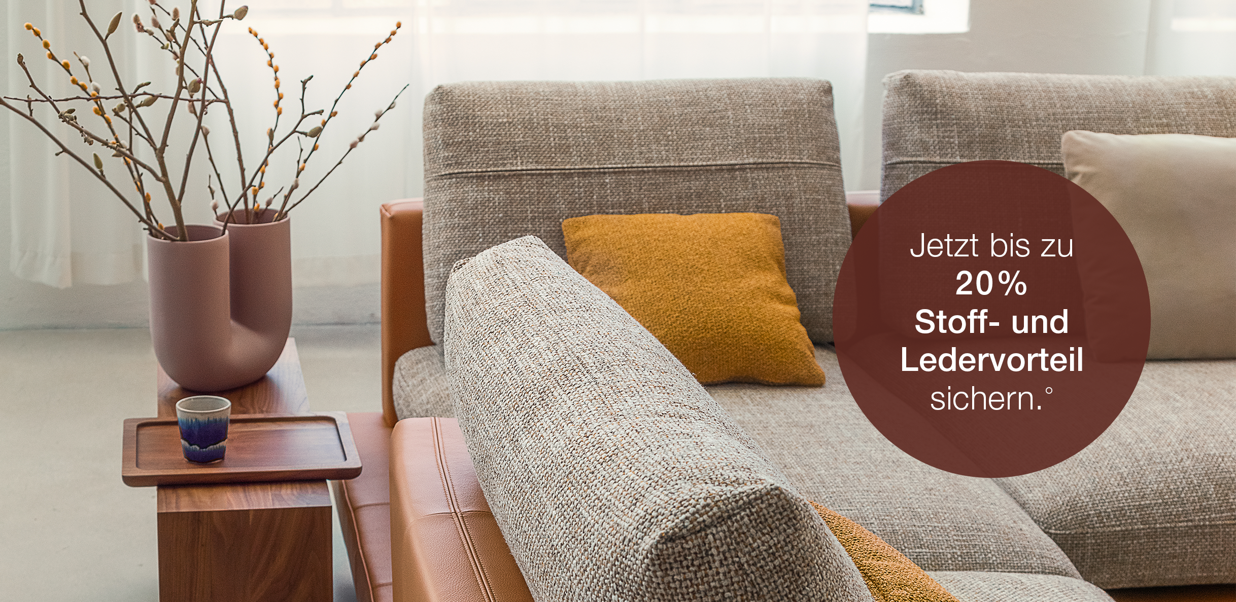 Rolf Benz Sofa SINA Aktion