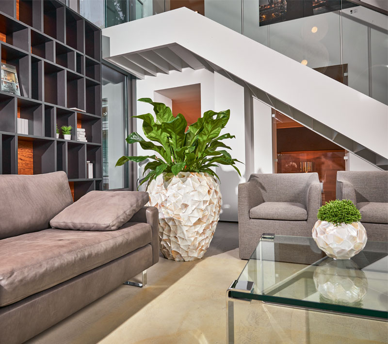 Muschelgefäß mit Anthurium Jungle, einer üppig wachsenden, genügsamen Pflanze mit Wurzeln in Amerika und den karibischen Inseln (großes Gefäß). Echte Rhipsalis aus der Gattung der Kakteengewächse – auch Weidenge- flecht genannt. Absolut pflegeleicht (kleines Gefäß).