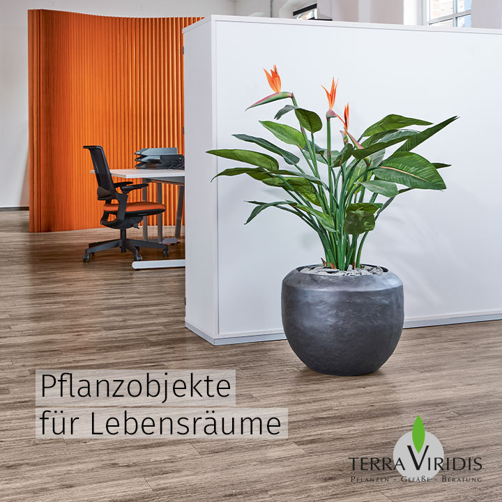 Terra Viridis GmbH – Natur und Kunst im Dialog