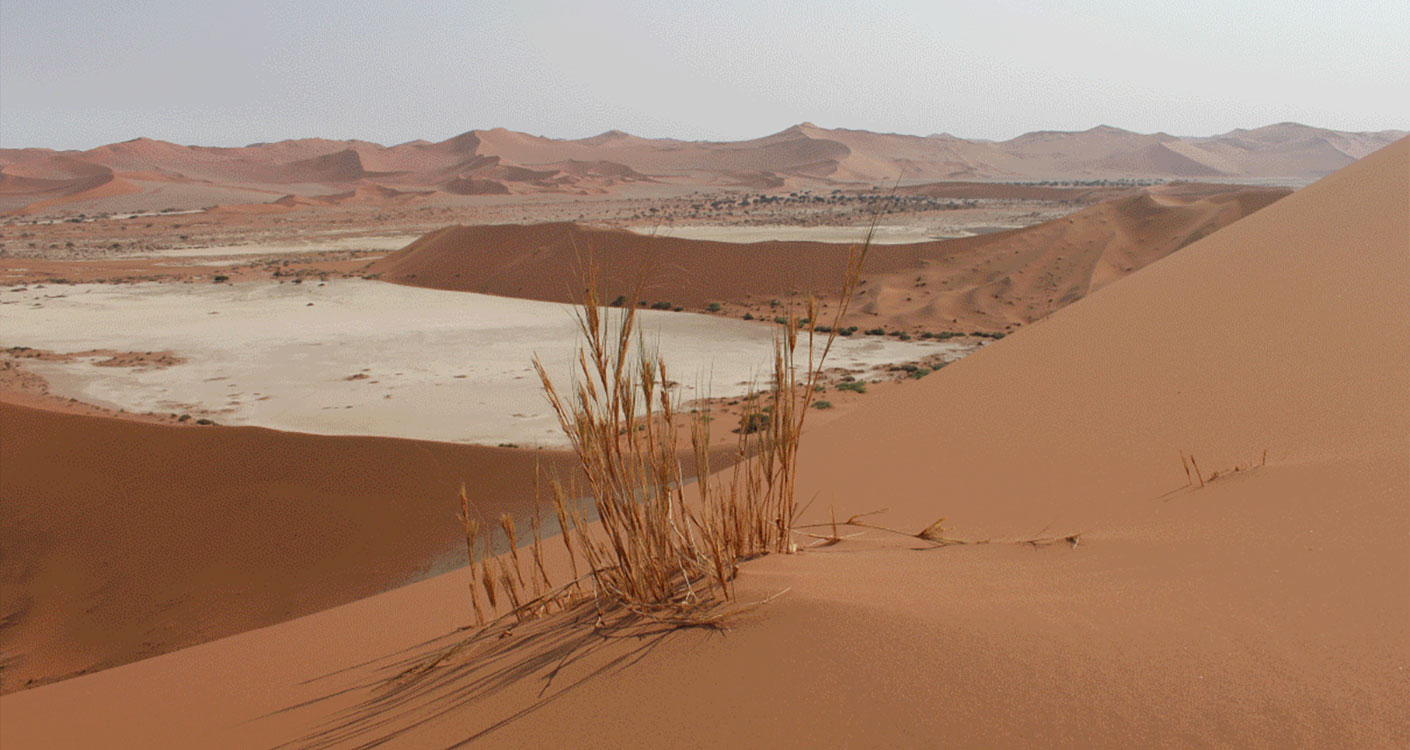 Legends of Carpets. Inspiration Afrika, zurück zum Ursprung