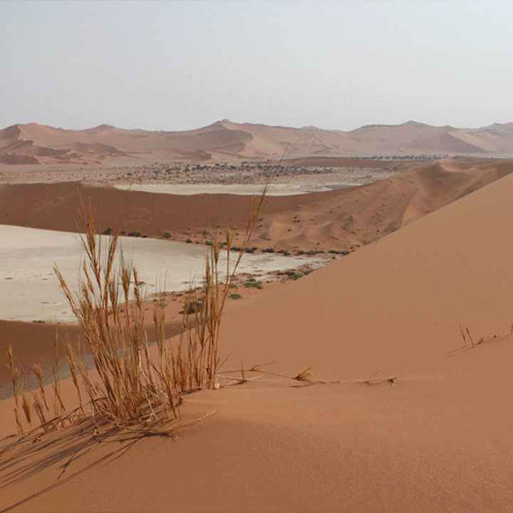 Legends of Carpets. Inspiration Afrika, zurück zum Ursprung